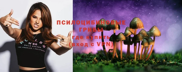 шишки Баксан