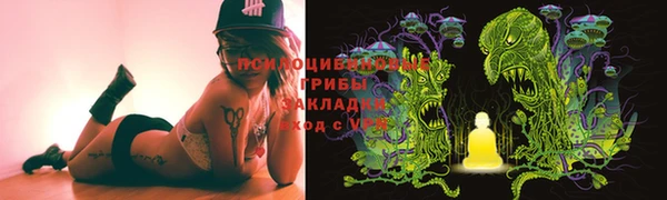 сатива Арсеньев