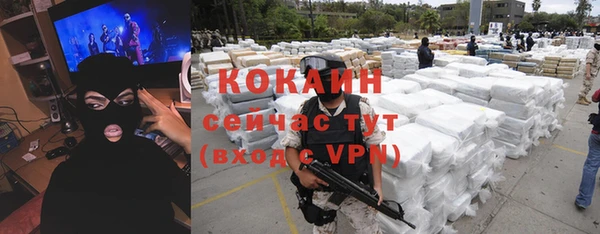 шишки Баксан